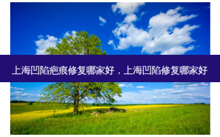 上海凹陷疤痕修复哪家好，上海凹陷修复哪家好