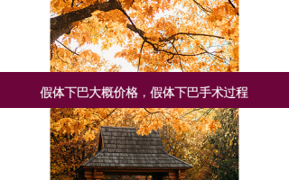 假体下巴大概价格，假体下巴手术过程