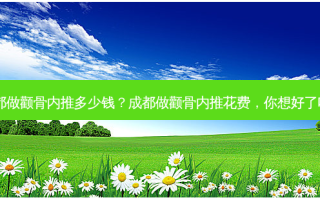 成都做颧骨内推多少钱？成都做颧骨内推花费，你想好了吗？