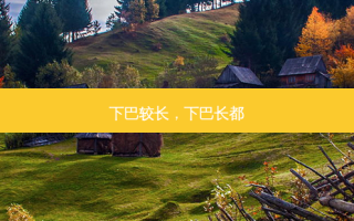 下巴较长，下巴长都