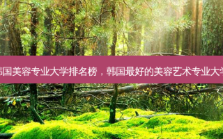 韩国美容专业大学排名榜，韩国最好的美容艺术专业大学
