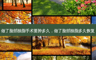 做了脸部抽脂手术要肿多久，做了脸部抽脂多久恢复