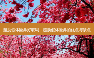 超肋假体隆鼻好取吗，超肋假体隆鼻的优点与缺点