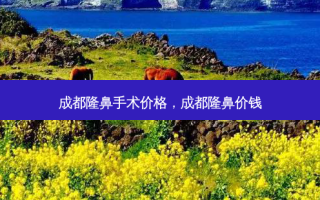 成都隆鼻手术价格，成都隆鼻价钱