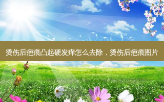 烫伤后疤痕凸起硬发痒怎么去除，烫伤后疤痕图片
