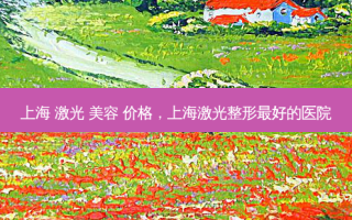 上海 激光 美容 价格，上海激光整形最好的医院