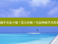 毛发种植手术多少钱？花大价钱？毛发种植手术真相揭晓！