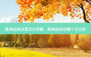 隆胸假体放置层次图解，隆胸假体放哪个层次好