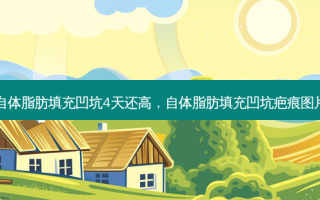 自体脂肪填充凹坑4天还高，自体脂肪填充凹坑疤痕图片