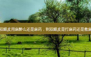 割双眼皮用麻醉么还是麻药，割双眼皮是打麻药还是敷麻药