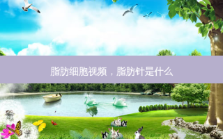 脂肪细胞视频，脂肪针是什么