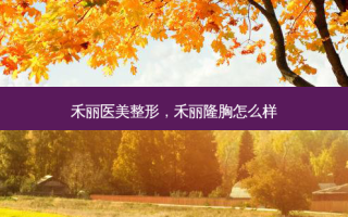 禾丽医美整形，禾丽隆胸怎么样