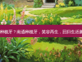 南通 种植牙？南通种植牙，笑容再生，回归生活新欢乐