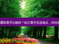 松江哪里看牙比较好？松江看牙优选地点，你知道吗?
