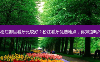 松江哪里看牙比较好？松江看牙优选地点，你知道吗?