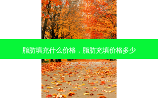 脂肪填充什么价格，脂肪充填价格多少