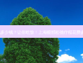 上海眼部松弛多少钱？让你吃惊！上海眼部松弛疗程花费多少钱看这里！