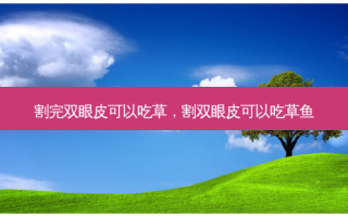 割完双眼皮可以吃草，割双眼皮可以吃草鱼