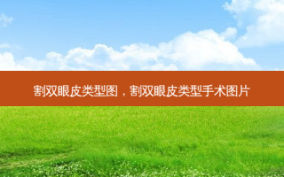 割双眼皮类型图，割双眼皮类型手术图片