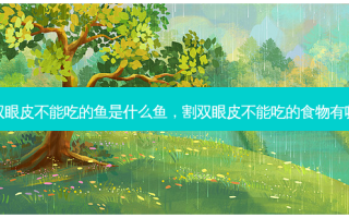 割双眼皮不能吃的鱼是什么鱼，割双眼皮不能吃的食物有哪些