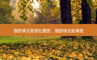 脂肪填充面部位置图，脂肪填充效果图