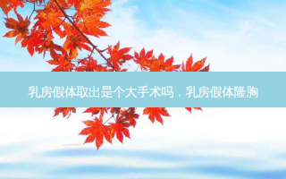 乳房假体取出是个大手术吗，乳房假体隆胸