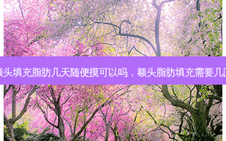 额头填充脂肪几天随便摸可以吗，额头脂肪填充需要几回