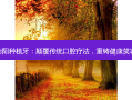 衡阳种植牙：颠覆传统口腔疗法，重铸健康笑容