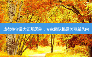 成都整容大正规医院，专家团队揭露美丽新风向