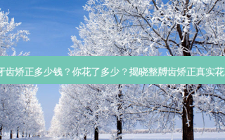 整牙齿矫正多少钱？你花了多少？揭晓整牔齿矫正真实花费！