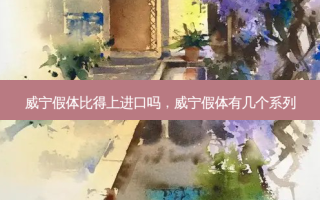 威宁假体比得上进口吗，威宁假体有几个系列