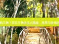 西安多少钱丰胸？西安丰胸价位大揭秘，效果与价格的双重考量