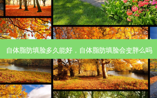 自体脂肪填脸多久能好，自体脂肪填脸会变胖么吗