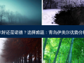 青岛伊美尔好还是诺德？选择难题：青岛伊美尔优势分析对比诺德