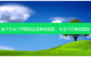 垫下巴去三甲医院还是整形医院，专业下巴整形医院