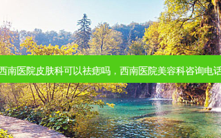 西南医院皮肤科可以祛痣吗，西南医院美容科咨询电话