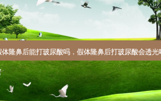 假体隆鼻后能打玻尿酸吗，假体隆鼻后打玻尿酸会透光吗