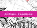 贵州毛发移植，脱发逆袭重生指南