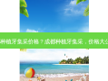 成都种植牙集采价格？成都种植牙集采，价格大公开！