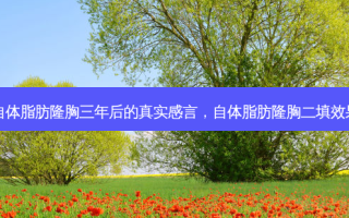 自体脂肪隆胸三年后的真实感言，自体脂肪隆胸二填效果