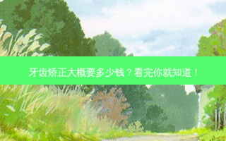 牙齿矫正大概要多少钱？看完你就知道！