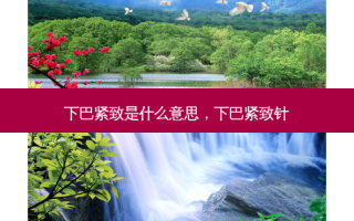 下巴紧致是什么意思，下巴紧致针