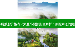 大腿小腿抽脂价格表？大腿小腿抽脂全解析：你要知道的费用详情