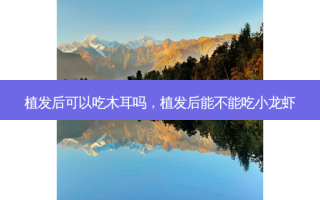 植发后可以吃木耳吗，植发后能不能吃小龙虾