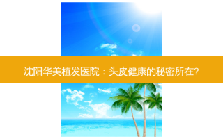 沈阳华美植发医院：头皮健康的秘密所在?