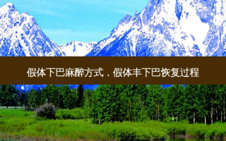 假体下巴麻醉方式，假体丰下巴恢复过程