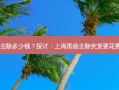 上海黑痣去除多少钱？探讨：上海黑痣去除究竟要花费多少钱？