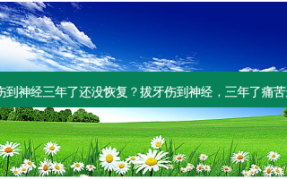 拔牙伤到神经三年了还没恢复？拔牙伤到神经，三年了痛苦未止！