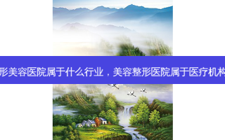 整形美容医院属于什么行业，美容整形医院属于医疗机构吗