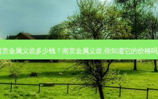 南京金属义齿多少钱？南京金属义齿,你知道它的价格吗？